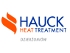 hauck heat treatment logo