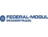 federal mogul_powertrain_logo
